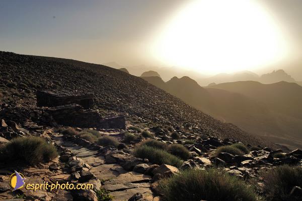 Nom de l'image : D1236226-1 — Description :