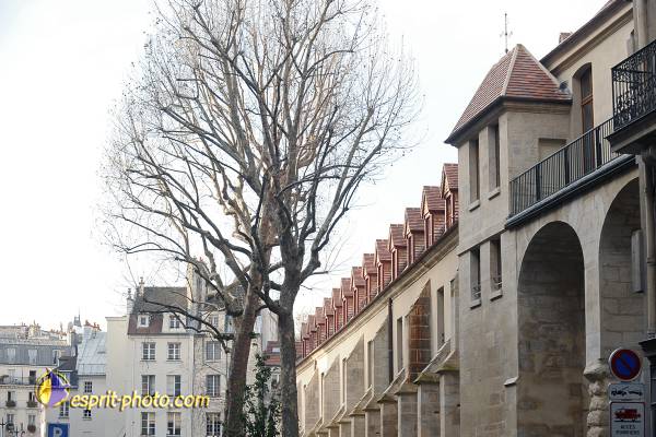 Nom de l'image : D30037201_1 — Description :