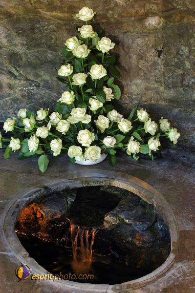 Nom de l'image : D1162287-01 — Description :  Lourdes 2004 - Pèlerinage du Pape à Lourdes