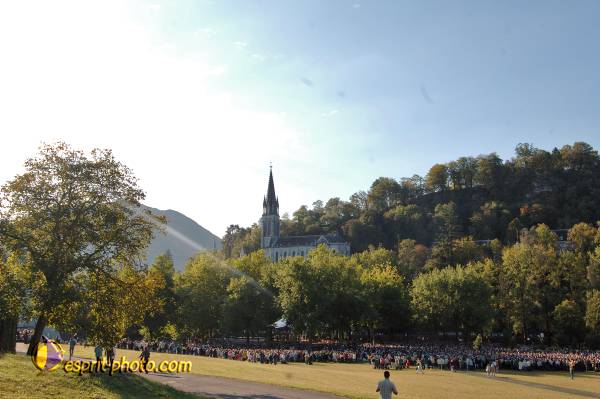 Nom de l'image : D2186068_1 — Description :