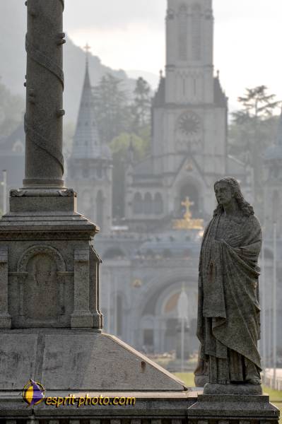 Nom de l'image : D2233346_1 — Description :