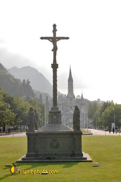 Nom de l'image : D2233349_1 — Description :