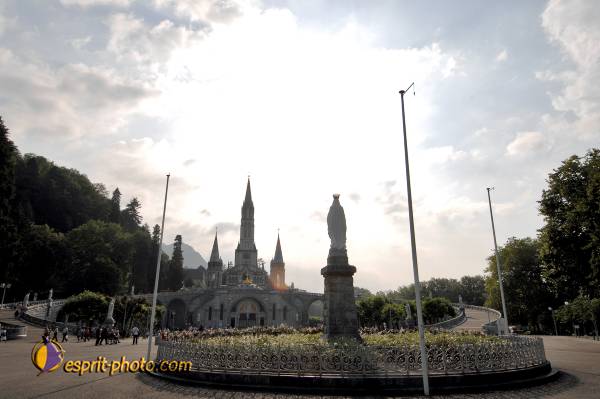 Nom de l'image : D2233378_1 — Description :