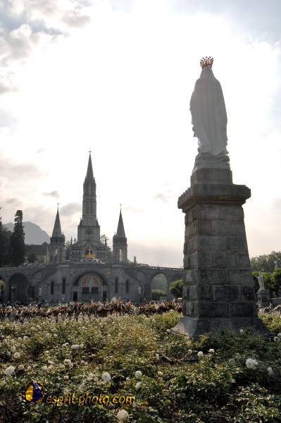 Nom de l'image : D2233380_1 — Description :