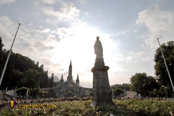 Nom de l'image : D2233383_1 — Description :