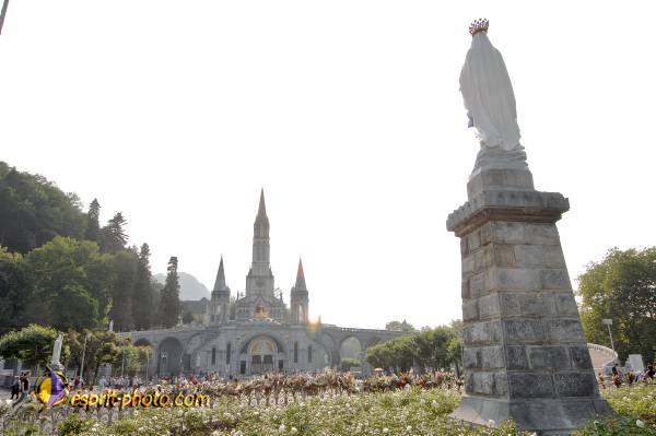 Nom de l'image : D2233386_1 — Description :