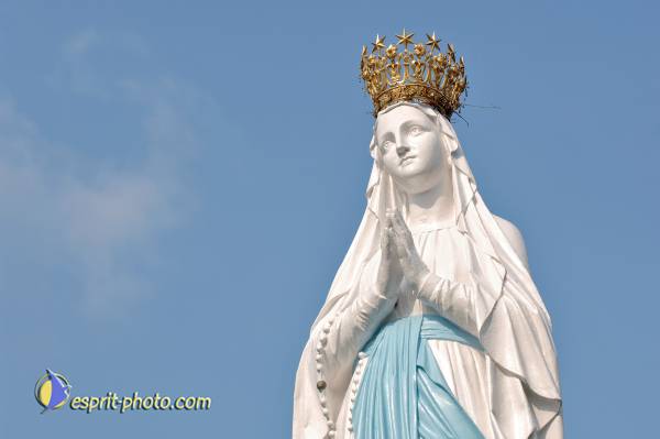 Nom de l'image : D2233392_1 — Description :