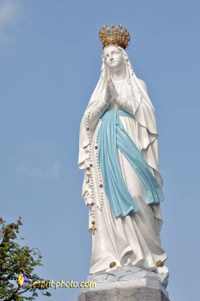 Nom de l'image : D2233394_1 — Description :