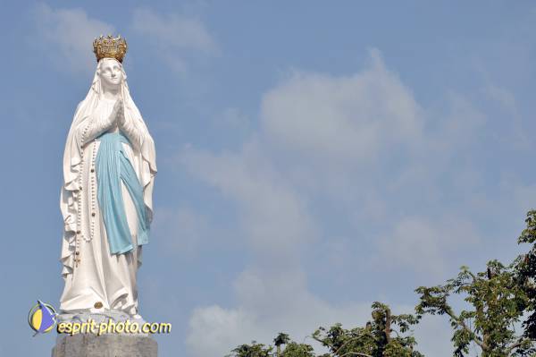 Nom de l'image : D2233402_1 — Description :