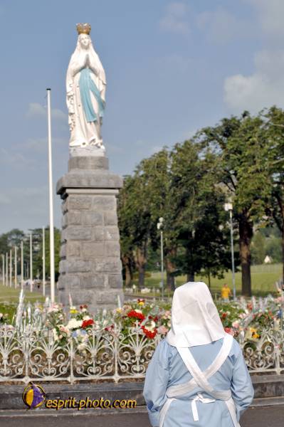 Nom de l'image : D2233403_1 — Description :