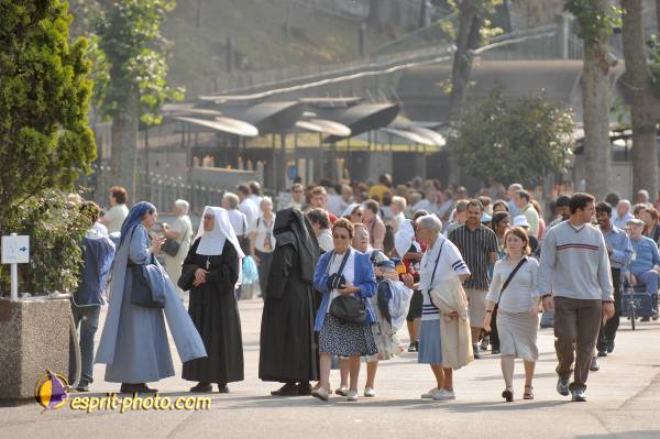 Nom de l'image : D2233417_1 — Description :