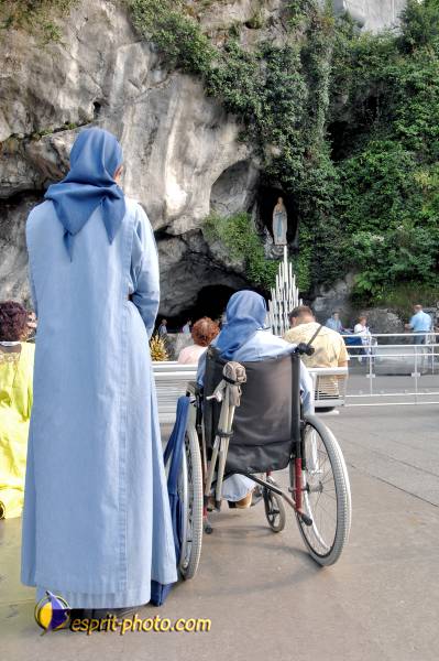 Nom de l'image : D2233419_1 — Description :