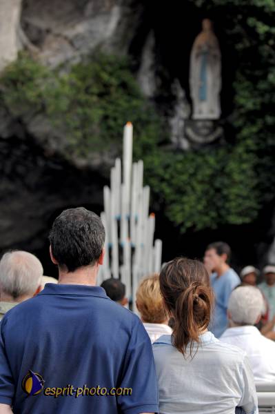 Nom de l'image : D2233437_1 — Description :