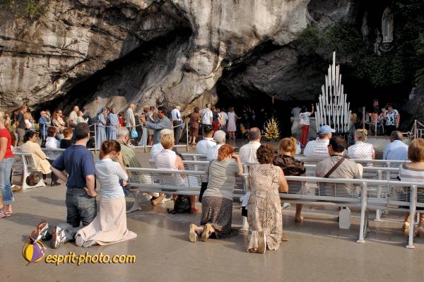 Nom de l'image : D2233443_1 — Description :