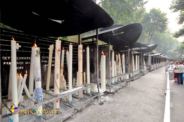 Nom de l'image : D2233447_1 — Description :