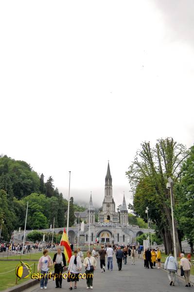 Nom de l'image : D2233485_1 — Description :