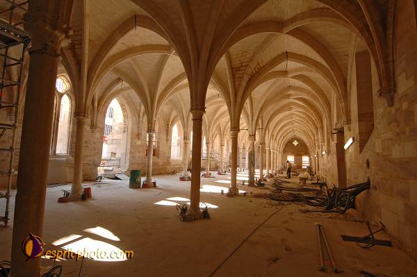 Nom de l'image : D2208725_1 — Description :