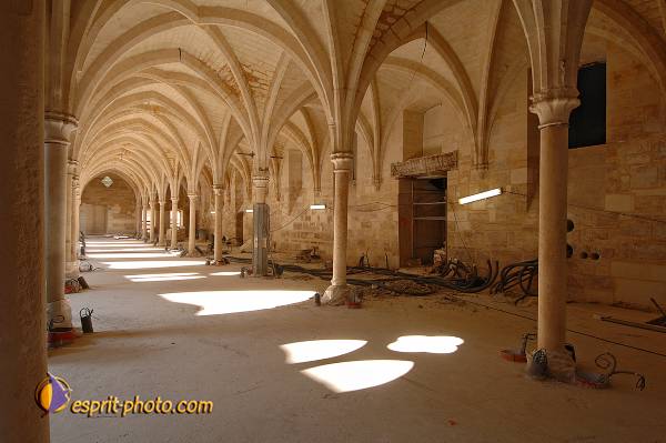 Nom de l'image : D2208737_1 — Description :