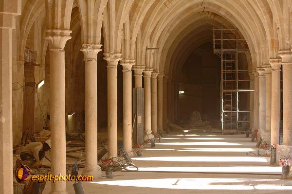 Nom de l'image : D2208753_1 — Description :