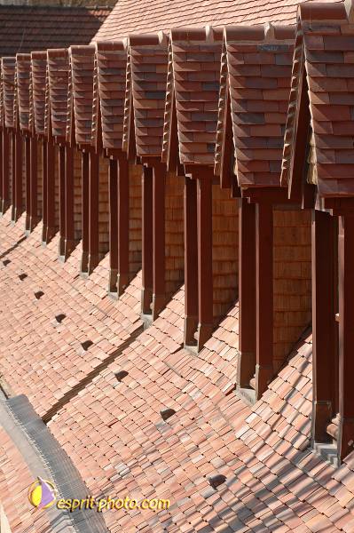 Nom de l'image : D2209126_1 — Description :