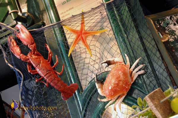 Nom de l'image : D2250942_1 — Description :