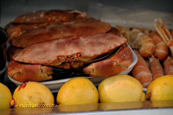 Nom de l'image : D2250944_1 — Description :