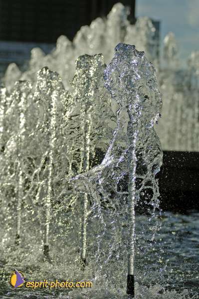 Nom de l'image : D2020238-1 — Description :