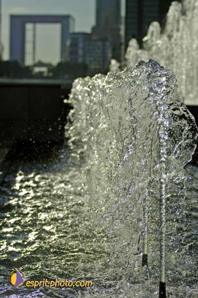 Nom de l'image : D2020241-1 — Description :