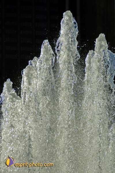 Nom de l'image : D2020259-1 — Description :