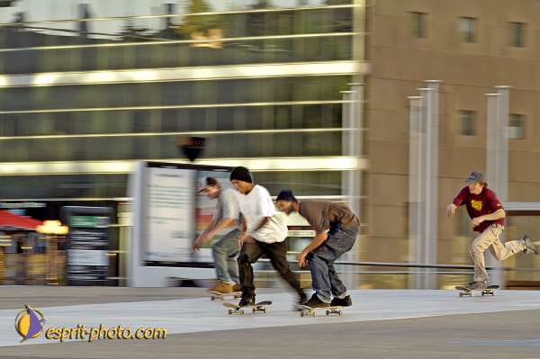 Nom de l'image : D2020463-1 — Description :