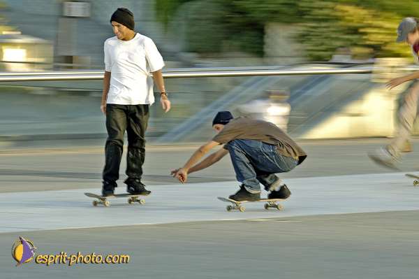 Nom de l'image : D2020471-1 — Description :