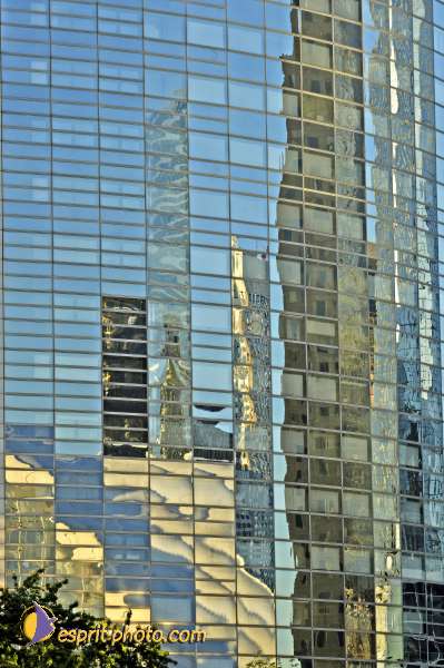 Nom de l'image : D2020484-1 — Description :