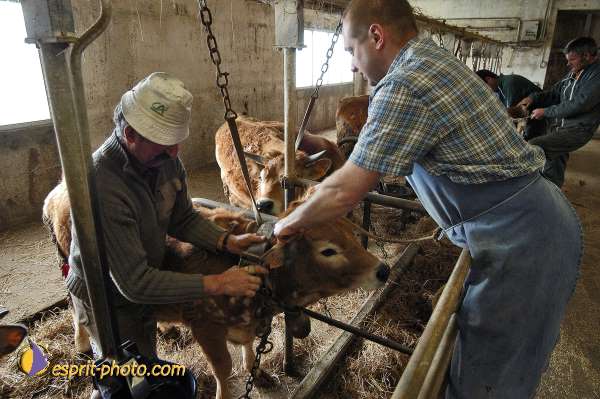 Nom de l'image : E00041758-1 — Description :