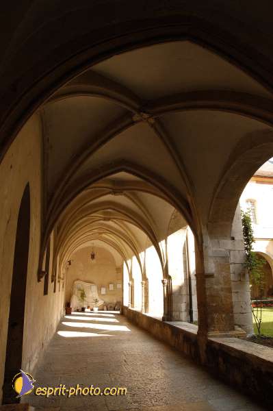 Nom de l'image : D1056120-nef-1 — Description :  Chemin Neuf - Abbaye d'Hautecombe - Festival de jeunes