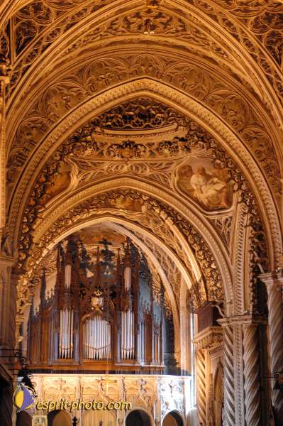 Nom de l'image : D1056519-1 — Description :  Chemin Neuf - Abbaye d'Hautecombe - Festival de jeunes