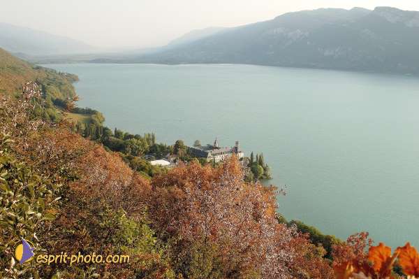 Nom de l'image : D1057067-nef-1 — Description :  Chemin Neuf - Abbaye d'Hautecombe - Festival de jeunes Chemin Ne