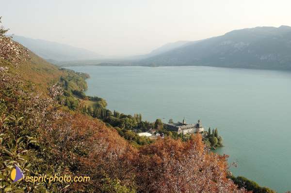 Nom de l'image : D1057080-nef-1 — Description :  Chemin Neuf - Abbaye d'Hautecombe - Festival de jeunes Chemin Ne