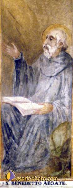 Nom de l'image : EG-300-9719-01 — Description :