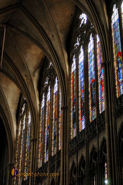 Nom de l'image : D2230300_1 — Description :