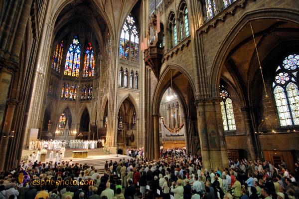 Nom de l'image : D2230536_1 — Description :