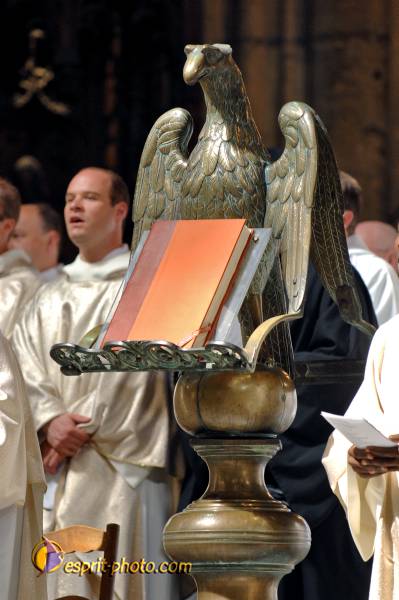 Nom de l'image : D2230618_1 — Description :