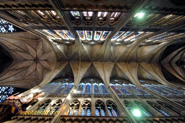 Nom de l'image : D2231136_1 — Description :