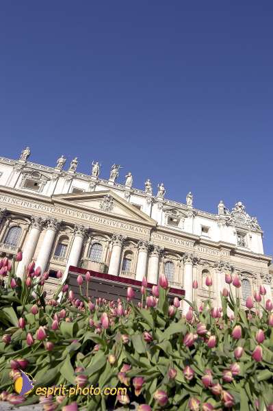 Nom de l'image : EG-300-9785-01 — Description :