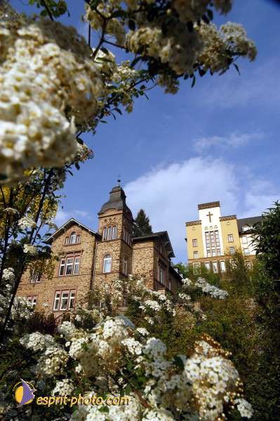 Nom de l'image : D1133449-01 — Description :