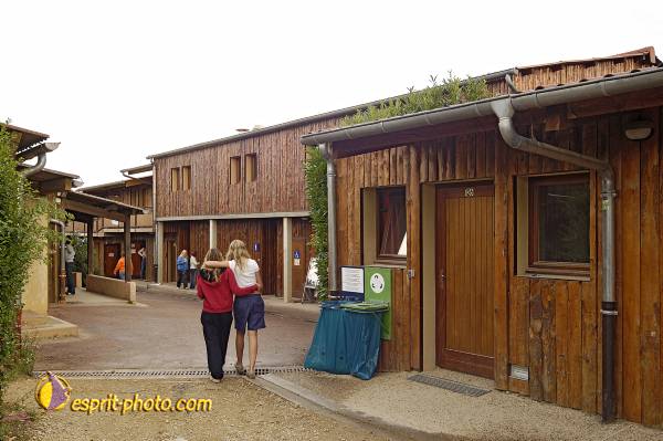 Nom de l'image : D2027105-1 — Description :