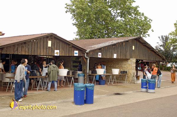 Nom de l'image : D2027118-1 — Description :