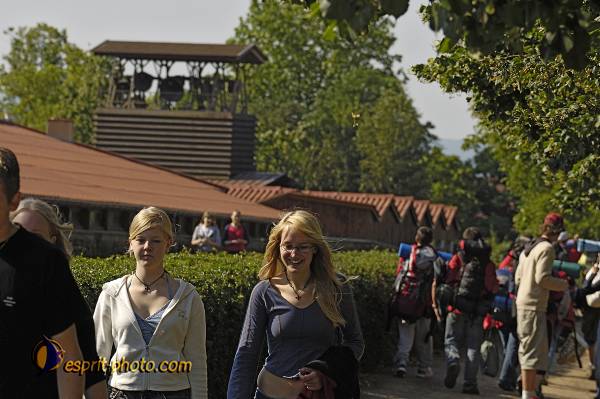 Nom de l'image : D2027137-1 — Description :