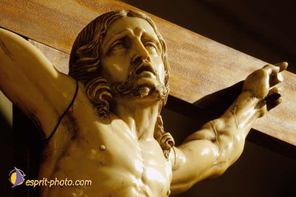 Nom de l'image : D1088615-nef — Description :