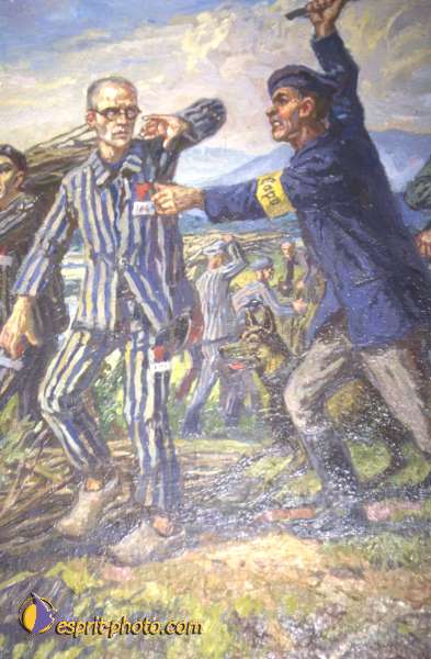 Nom de l'image : St_Maximilien_Kolbe_A3AD0200 — Description :