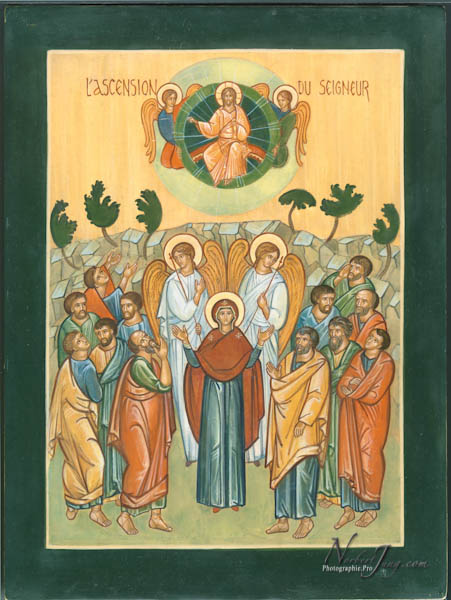 Nom de l'image : essaibois-modifcopie_(c)Norbert-Jung — Description :